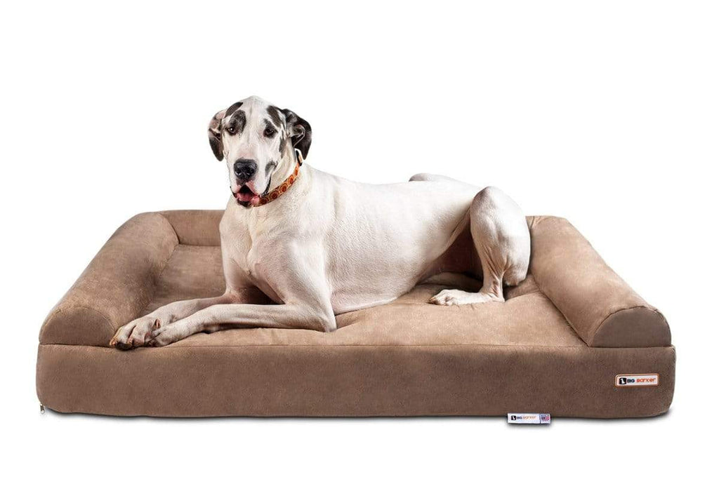 A big white Great Dane lays comfortably on the Big Barker Dog Bed Sofa