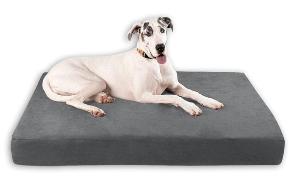 A white and gray-spotted Great Dane is laying in the corner of a Big Barker Dog Bed, sleek edition