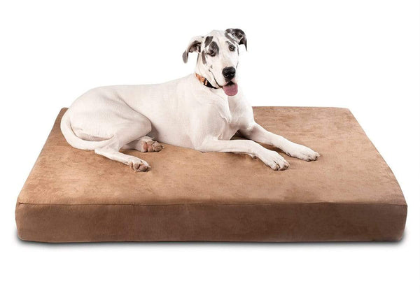 Happy Great Dane with tongue out. The Great Dane is resting on Big Barker Dog Bed, the sleek edition
