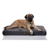 A big tan mastiff dog is sprawled out on the gorilla plush pup bed.  The bed is dark gray. The top of the bed is a soft material