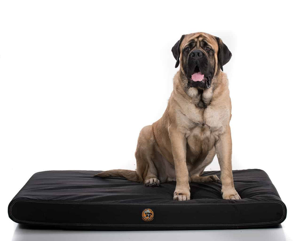 A big mastiff sits on the black chew-proof gorilla dog bed. The orange circular logo is in the middle from side